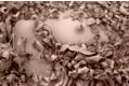 photo of a body in leaves